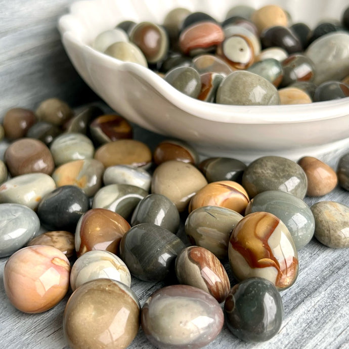 Polychrome Jasper Tumbled Pocket Stone Crystal Specimen (sm)