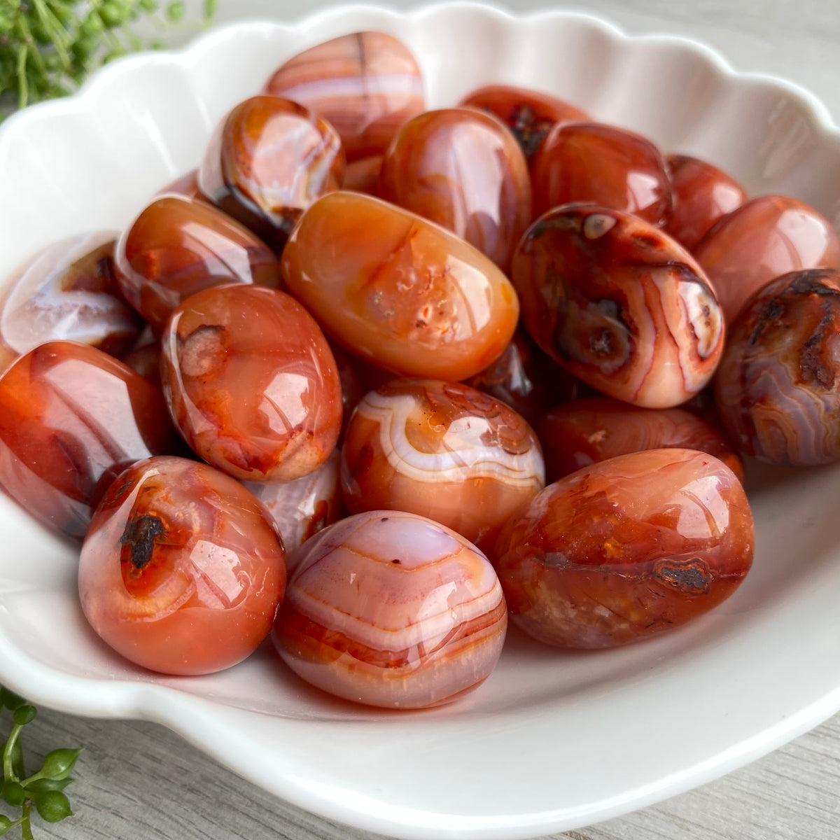 Carnelian Large Tumbled Pocket Stone Crystal Specimen – Wholehearted Crystal Creations