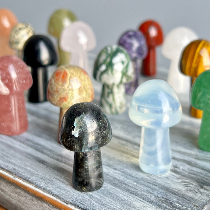 Mystery Mushroom Carving (M15)