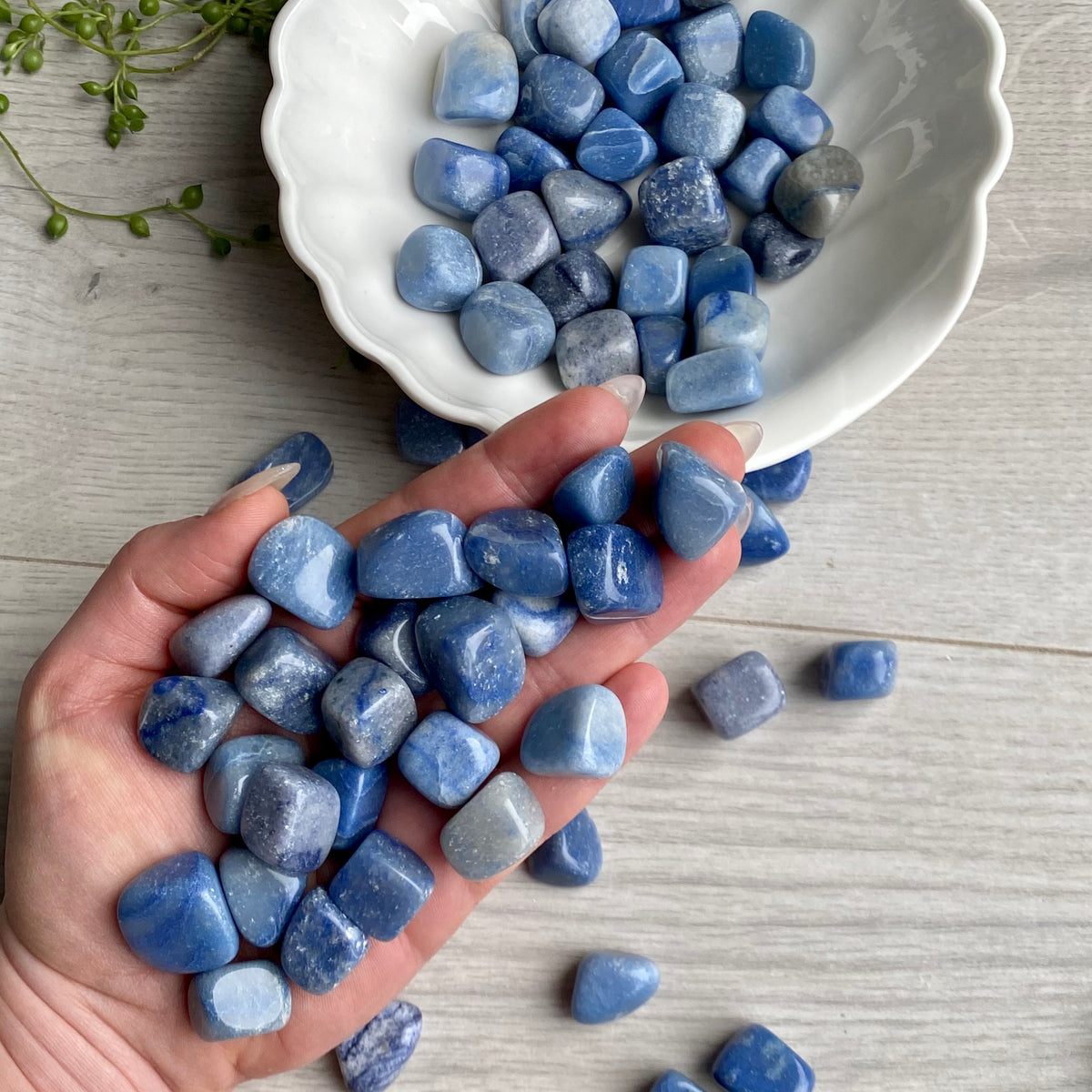 Blue Aventurine Tumbled Pocket Stone Specimen – Wholehearted Crystal Creations