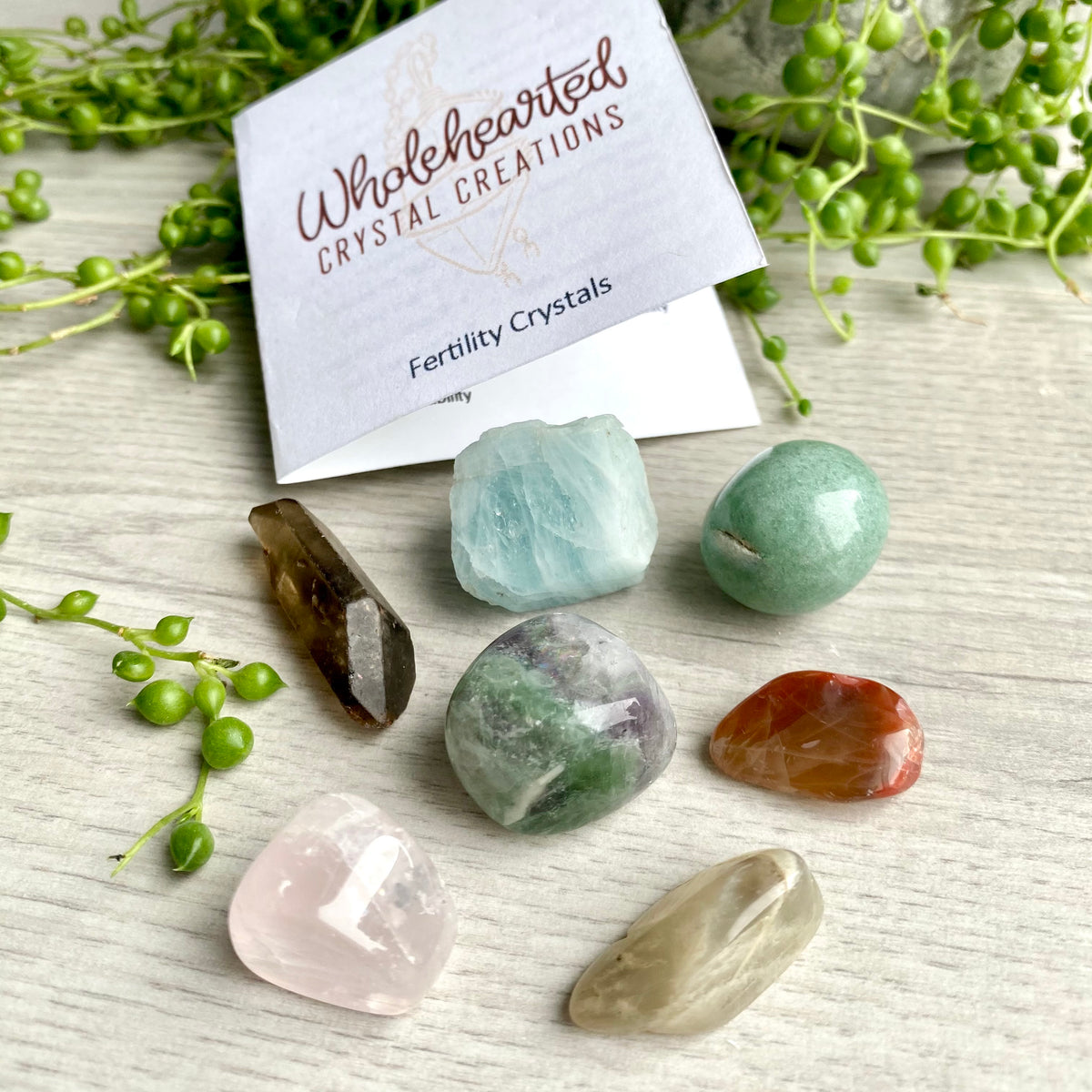 Fertility Pocket Crystal Specimen Set – Wholehearted Crystal Creations