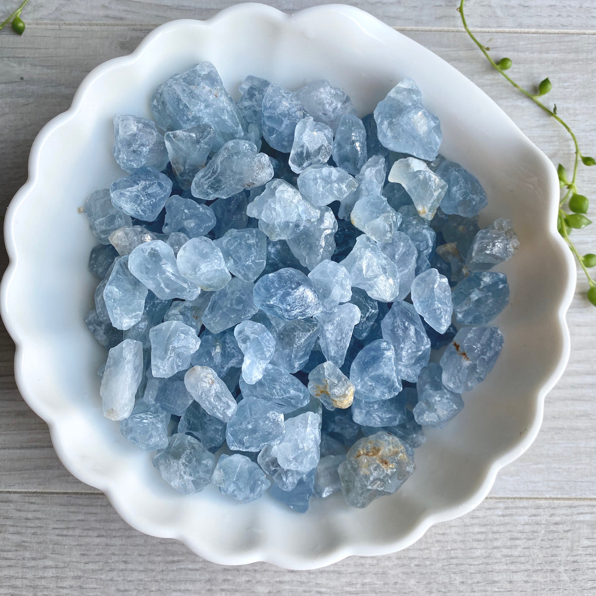 Celestite Raw Pocket Stone Specimen Small – Wholehearted Crystal Creations