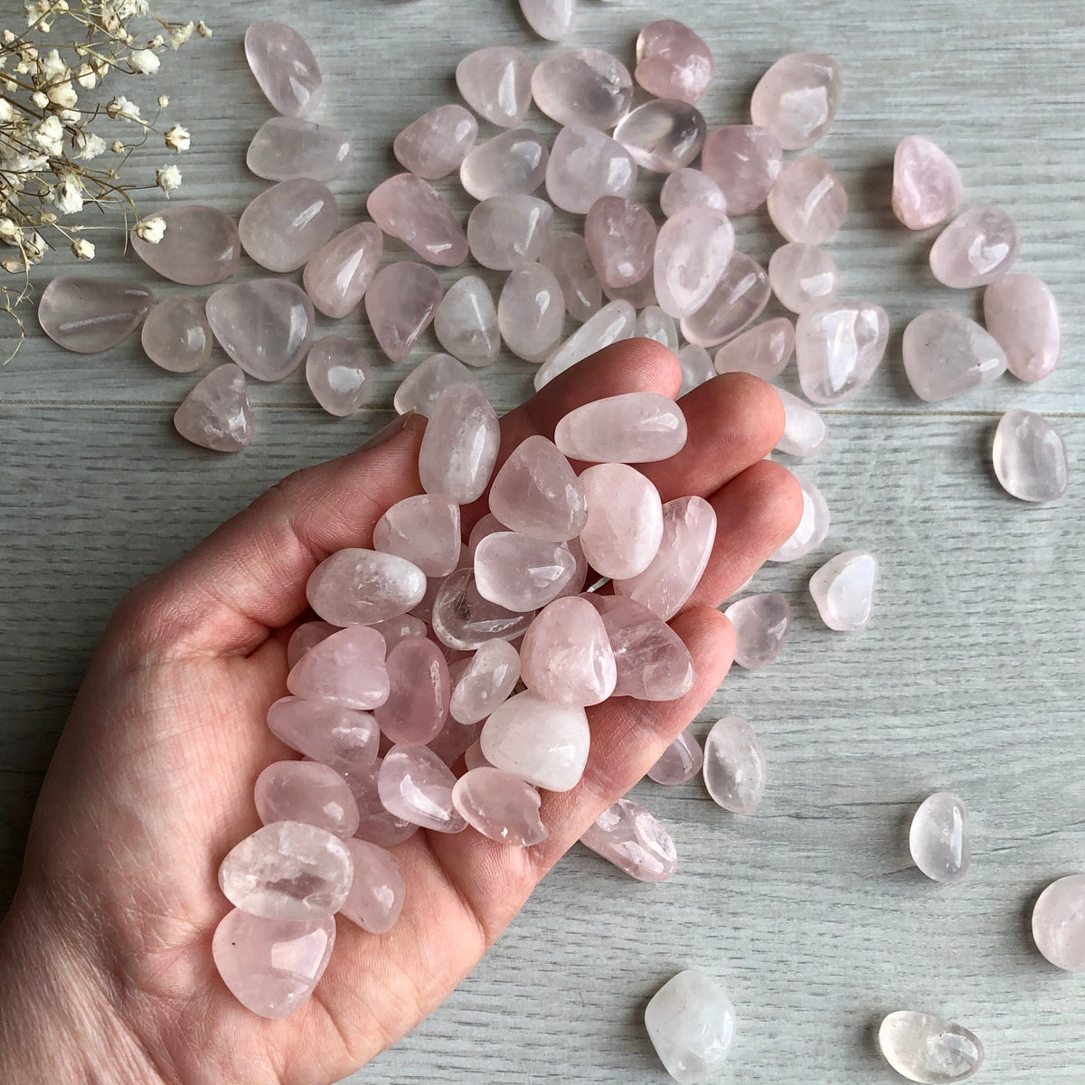 Rose Quartz Small Tumbled Pocket Stone Crystal Specimen – Wholehearted Crystal Creations