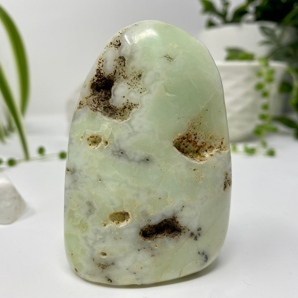 Chrysoprase Crystal Specimen – Wholehearted Crystal Creations