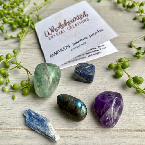 Awaken Intuitive Psychic Pocket Crystal Set – Wholehearted Crystal Creations