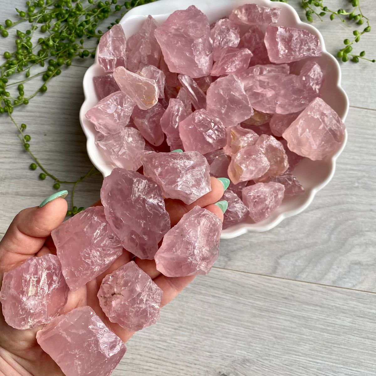 Raw Rose Quartz Pocket Stone Specimen Medium – Wholehearted Crystal Creations