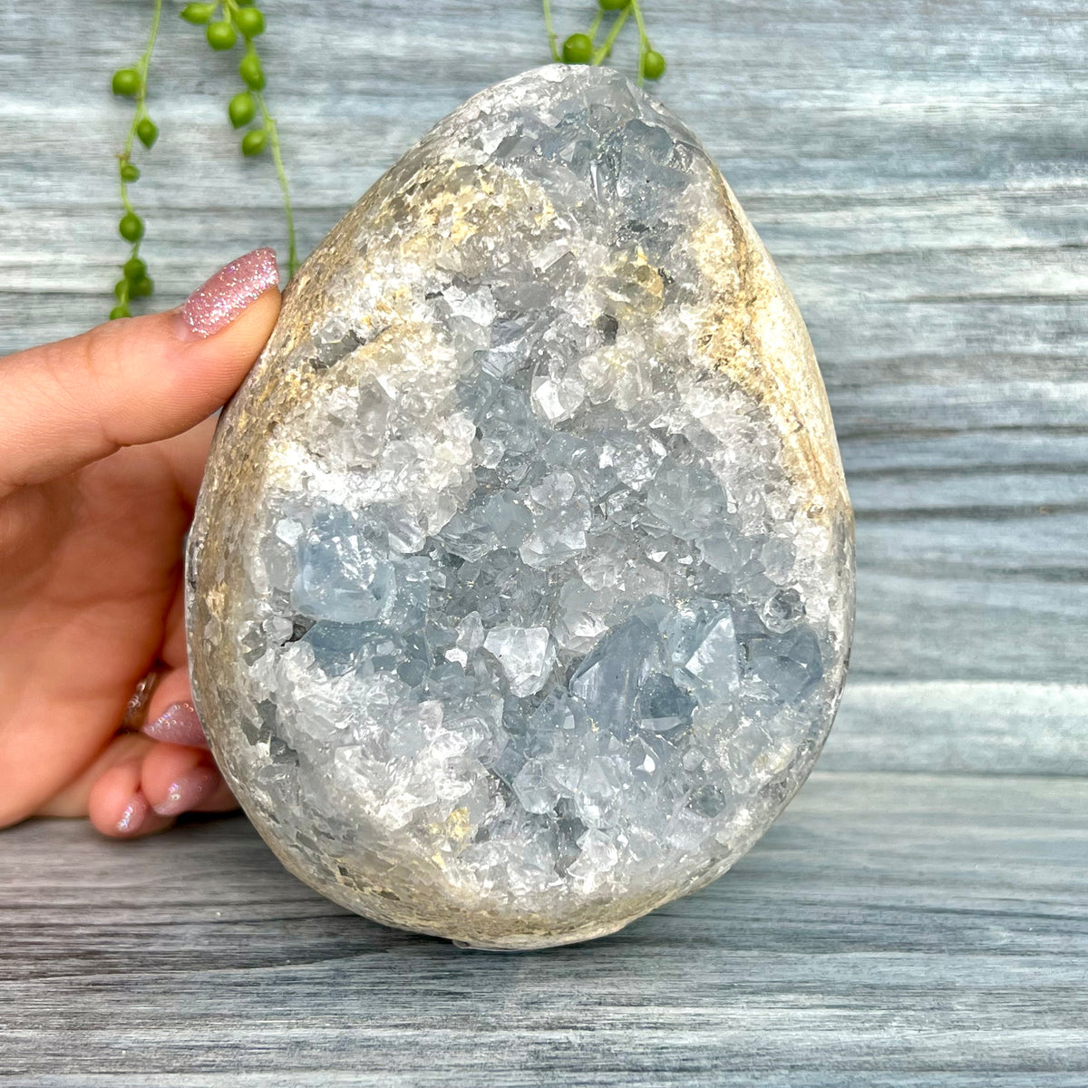 Celestite Geode Raw Crystal Specimen – Wholehearted Crystal Creations