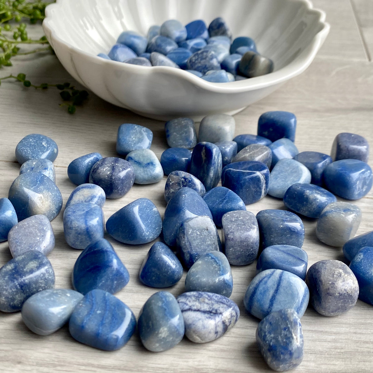 Blue Aventurine Tumbled Pocket Stone Specimen – Wholehearted Crystal Creations