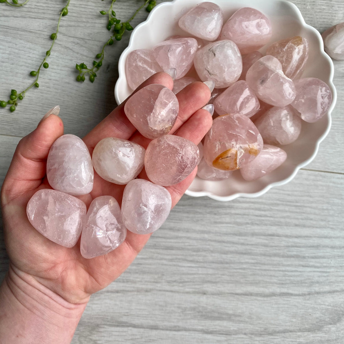 Rose Quartz Large Tumbled Pocket Stone Crystal Specimen – Wholehearted Crystal Creations