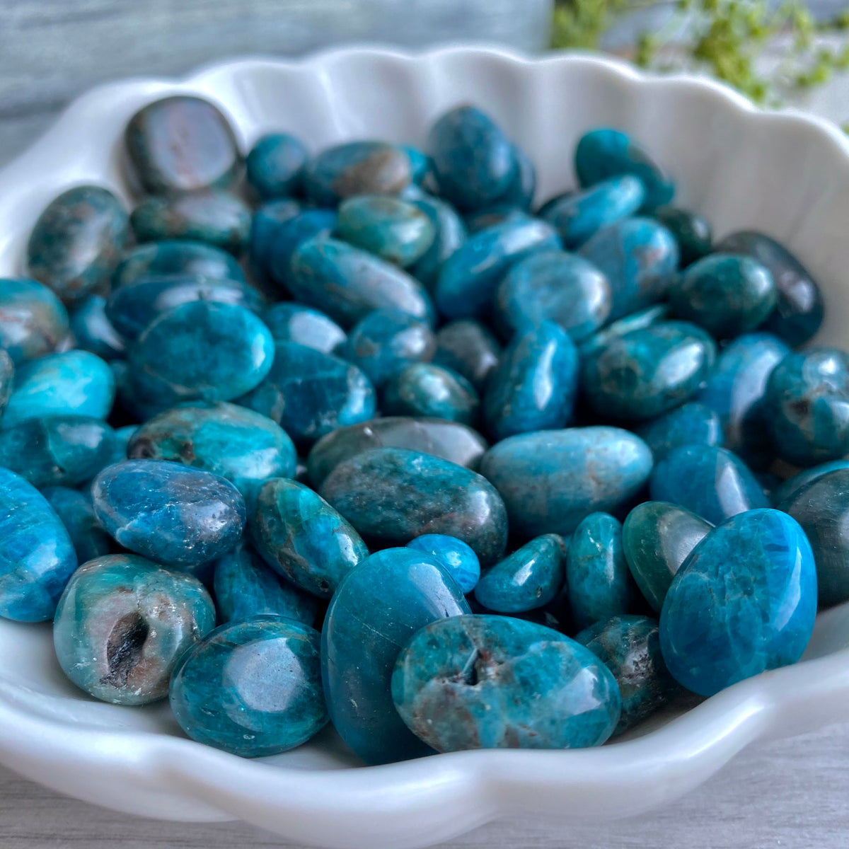 Apatite Tumbled Pocket Stone Specimen – Wholehearted Crystal Creations