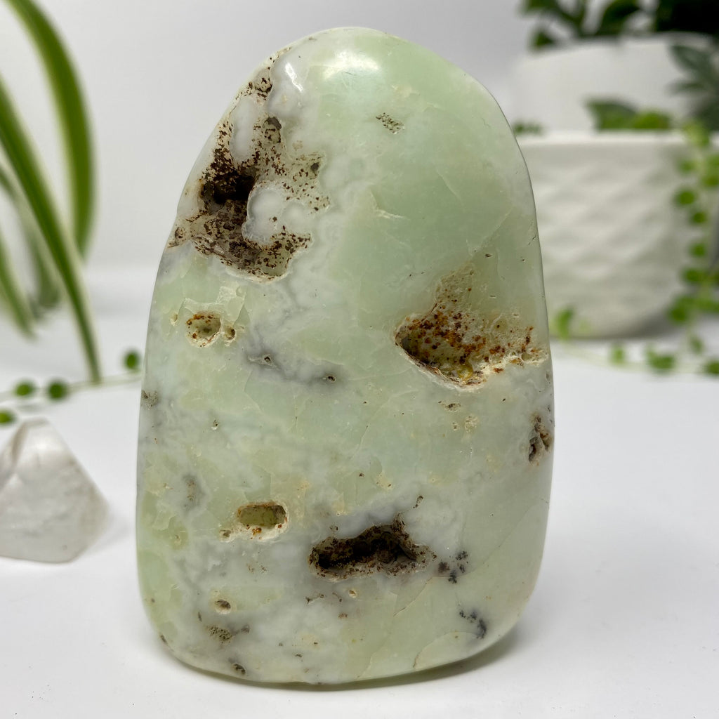 Chrysoprase Crystal Specimen – Wholehearted Crystal Creations