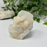 Apophyllite with Stilbite Crystal Specimen – Wholehearted Crystal Creations