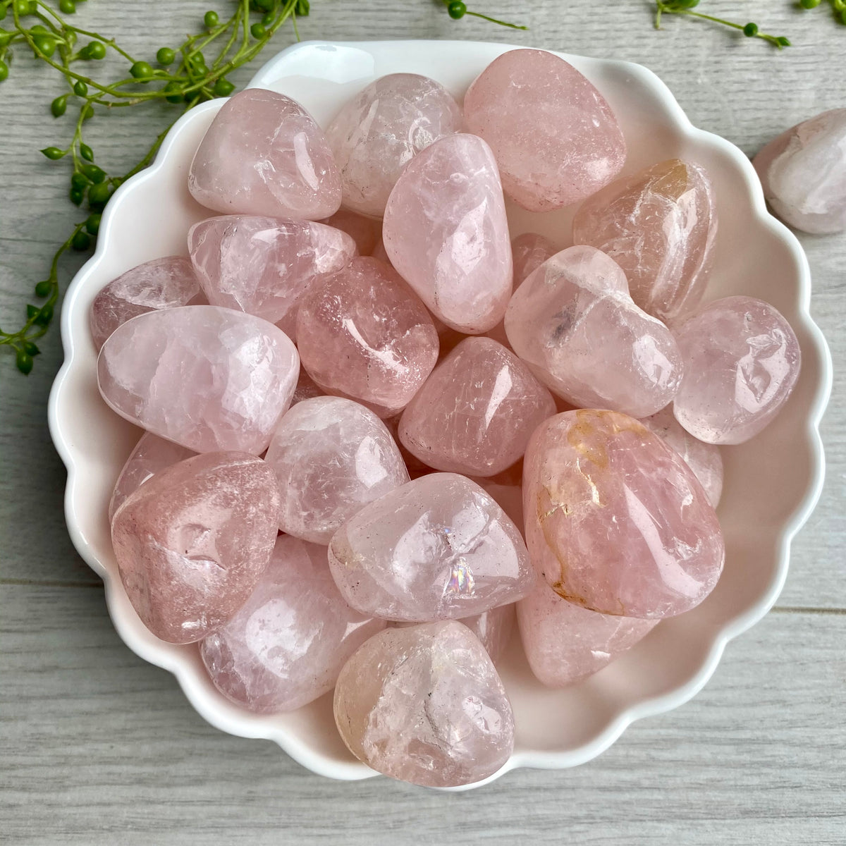 Rose Quartz Large Tumbled Pocket Stone Crystal Specimen – Wholehearted Crystal Creations