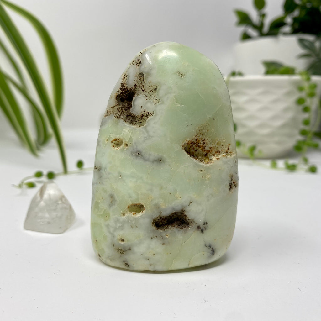 Chrysoprase Crystal Specimen – Wholehearted Crystal Creations