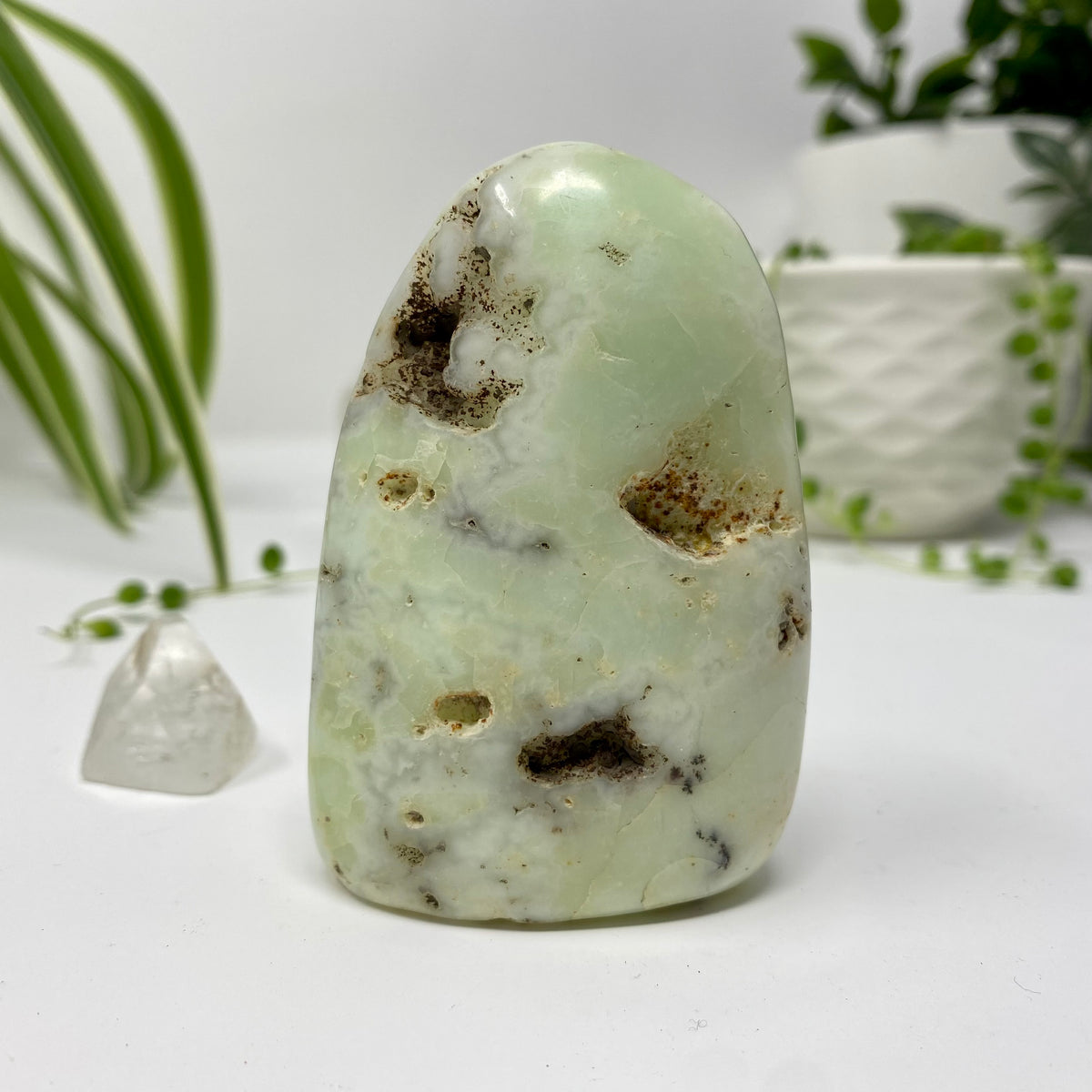 Chrysoprase Crystal Specimen – Wholehearted Crystal Creations
