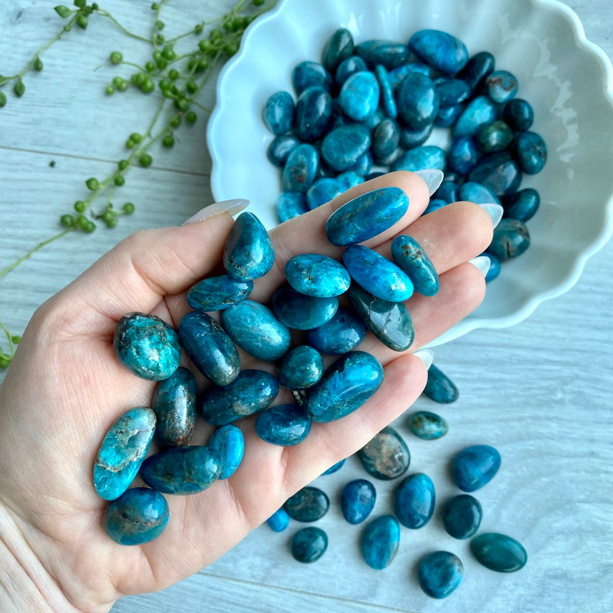 Apatite Tumbled Pocket Stone Specimen – Wholehearted Crystal Creations