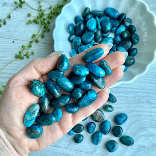 Apatite Tumbled Pocket Stone Specimen – Wholehearted Crystal Creations