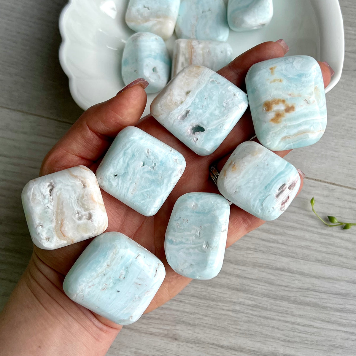 Blue Aragonite Caribbean Calcite Pocket Stone Large – Wholehearted Crystal Creations