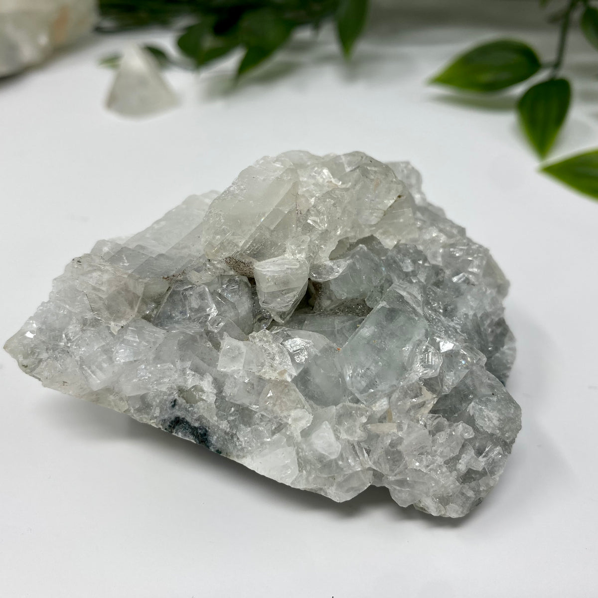 Apophyllite Crystal Specimen – Wholehearted Crystal Creations