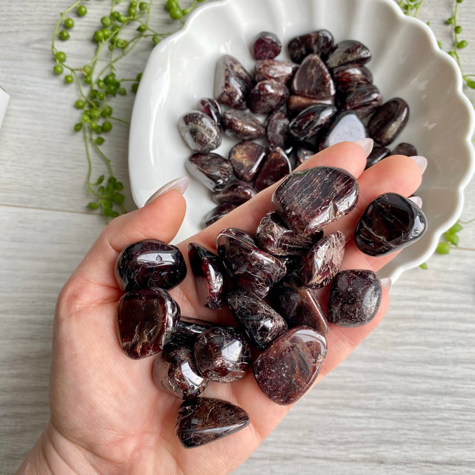 Garnet Tumbled Pocket Stone Crystal Specimen (LG)