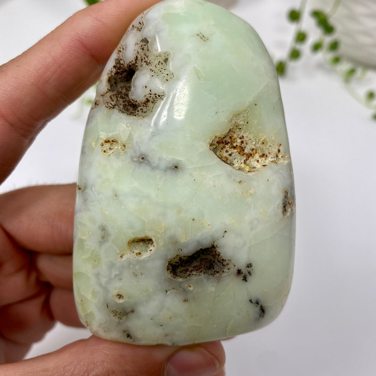 Chrysoprase Crystal Specimen – Wholehearted Crystal Creations