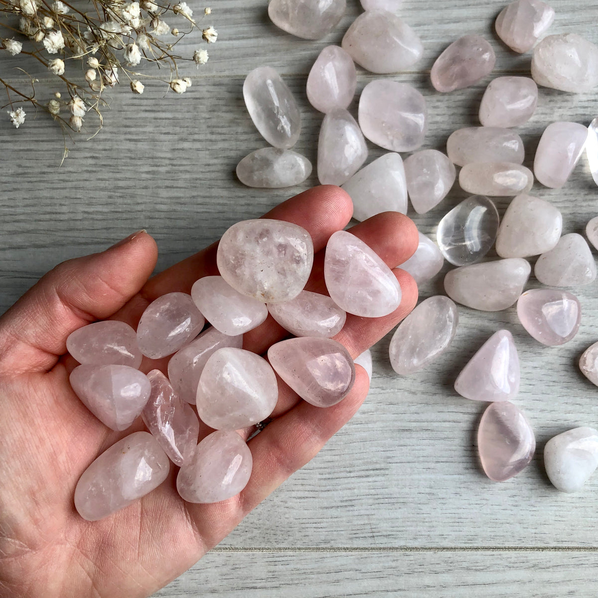 Rose Quartz Tumbled Pocket Stone Crystal Specimen Medium – Wholehearted Crystal Creations