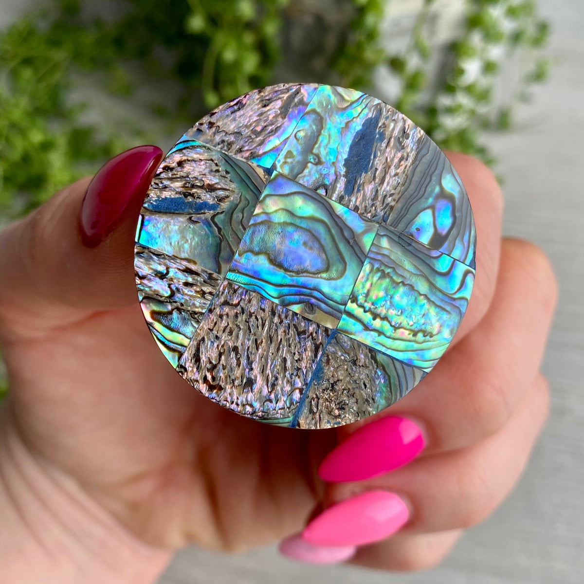 Abalone Shell Phone Pop Socket – Wholehearted Crystal Creations