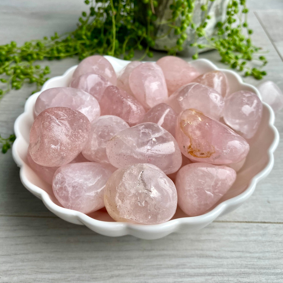 Rose Quartz Large Tumbled Pocket Stone Crystal Specimen – Wholehearted Crystal Creations