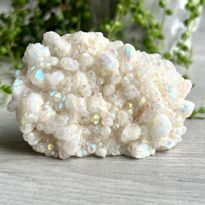 Angel Aura Quartz Cluster Crystal Specimen (72)