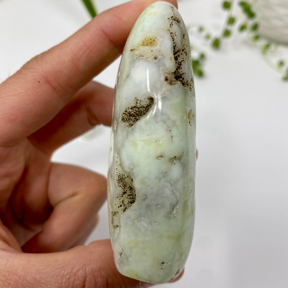 Chrysoprase Crystal Specimen – Wholehearted Crystal Creations