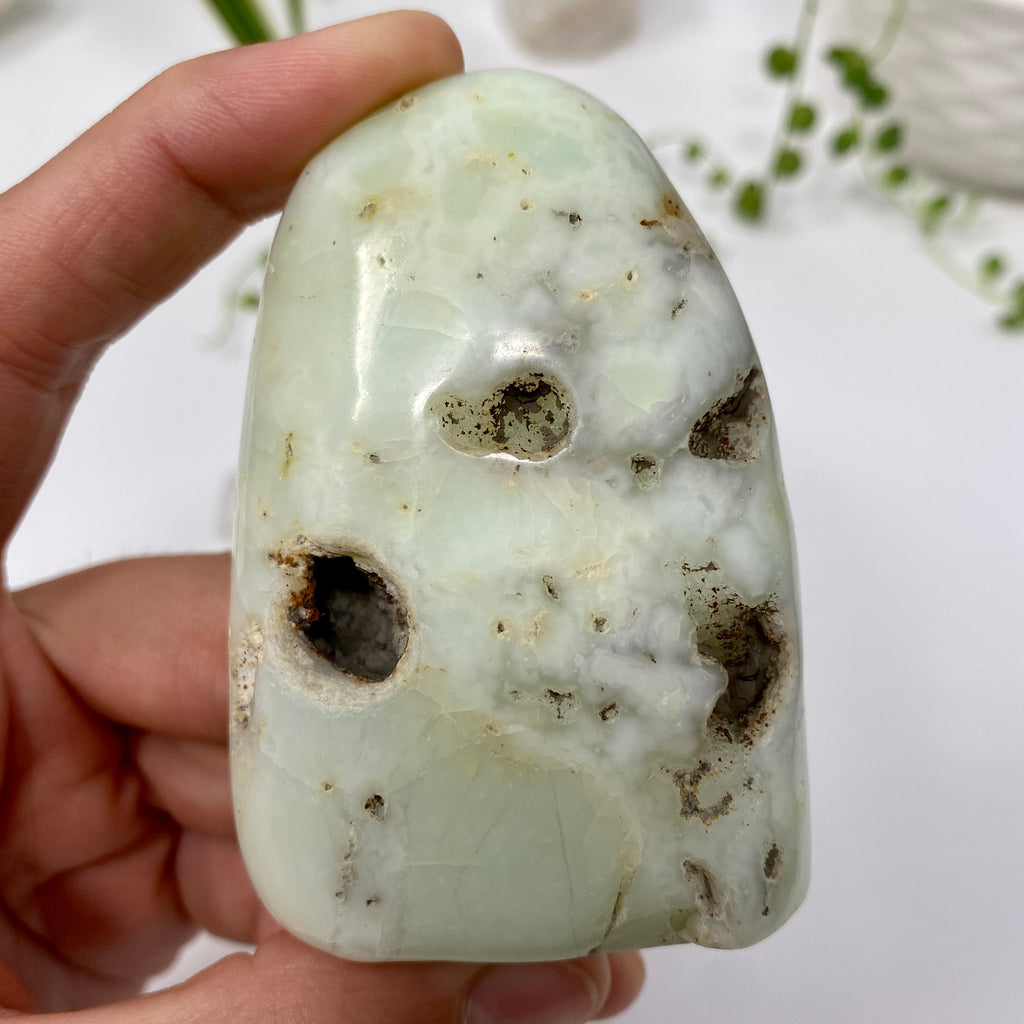 Chrysoprase Crystal Specimen – Wholehearted Crystal Creations