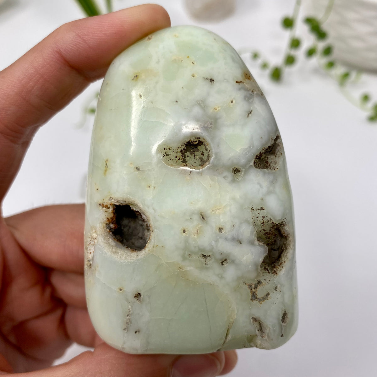Chrysoprase Crystal Specimen – Wholehearted Crystal Creations