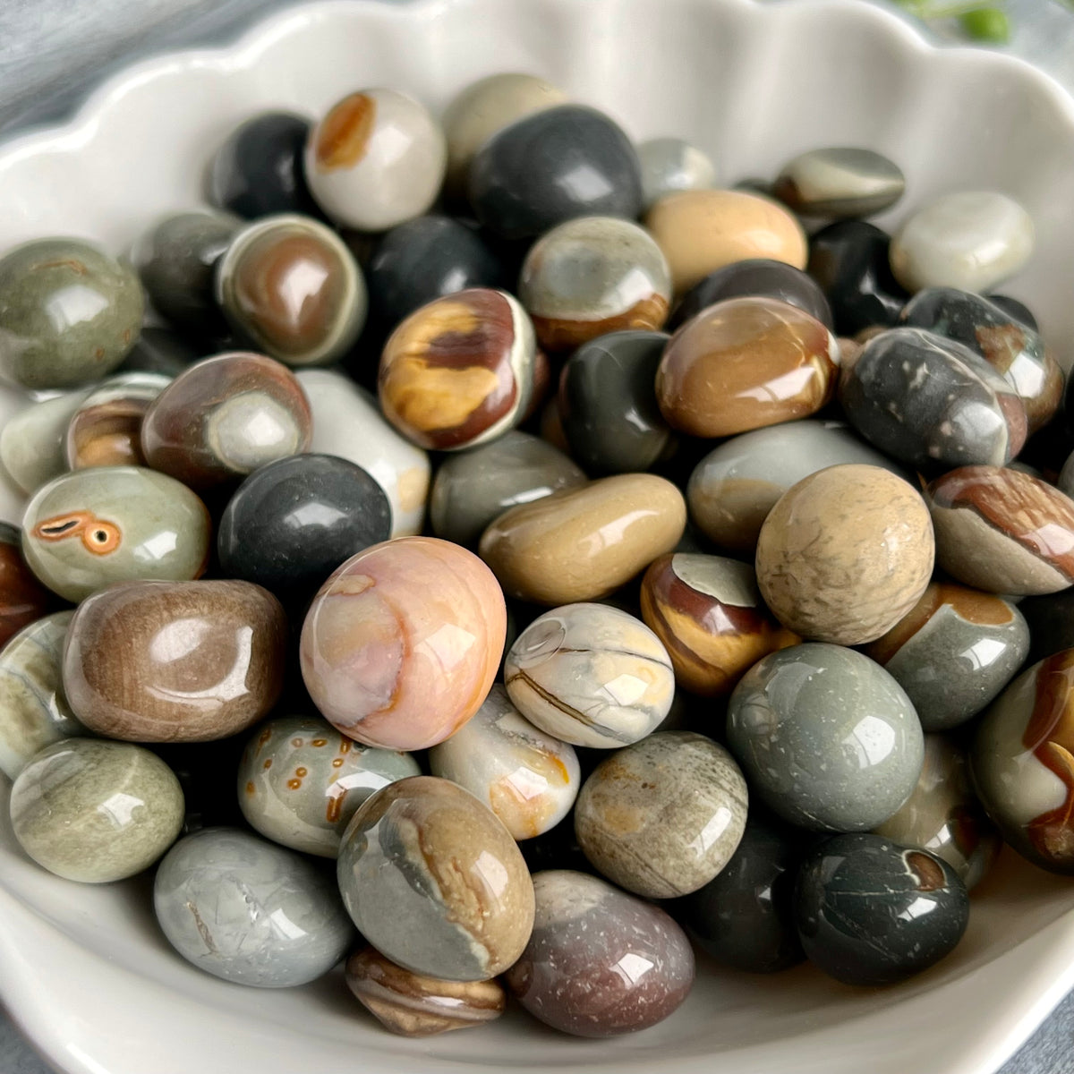 Polychrome Jasper Small Tumbled Pocket Stone Crystal Specimen – Wholehearted Crystal Creations