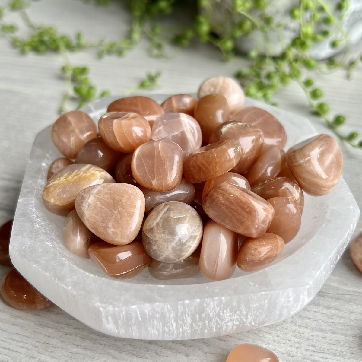 Moonstone Medium Tumbled Pocket Stone Specimen – Wholehearted Crystal Creations