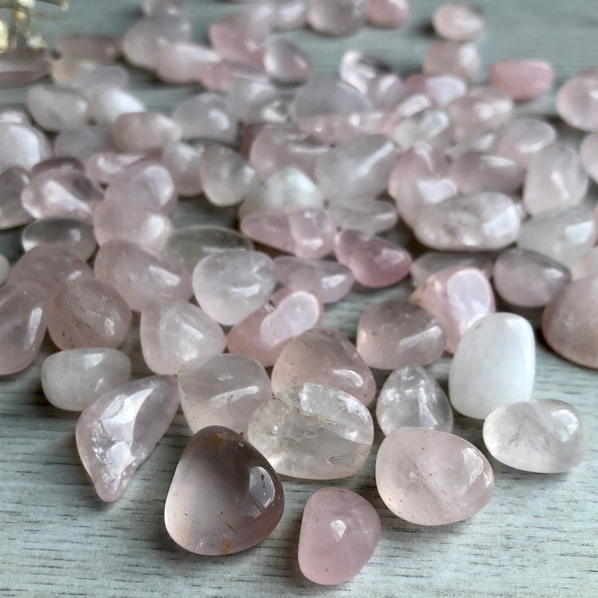 Rose Quartz Small Tumbled Pocket Stone Crystal Specimen – Wholehearted Crystal Creations