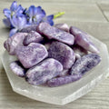 Lepidolite Large Tumbled Pocket Stone Crystal – Wholehearted Crystal Creations