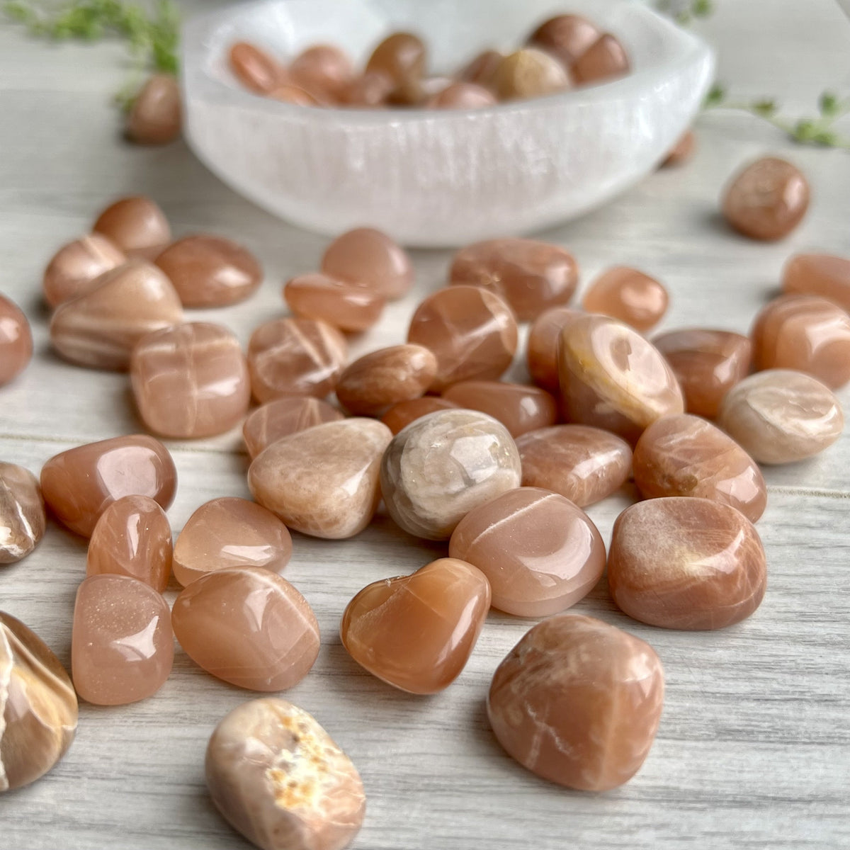 Moonstone Medium Tumbled Pocket Stone Specimen – Wholehearted Crystal Creations