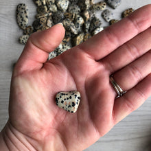 Dalmatian Jasper tumbled pocket stone crystal specimen