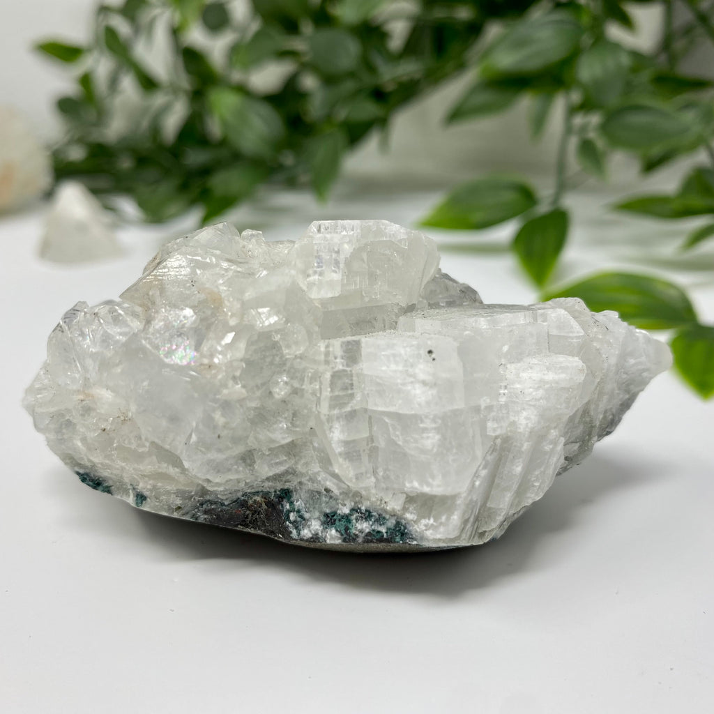 Apophyllite Crystal Specimen – Wholehearted Crystal Creations
