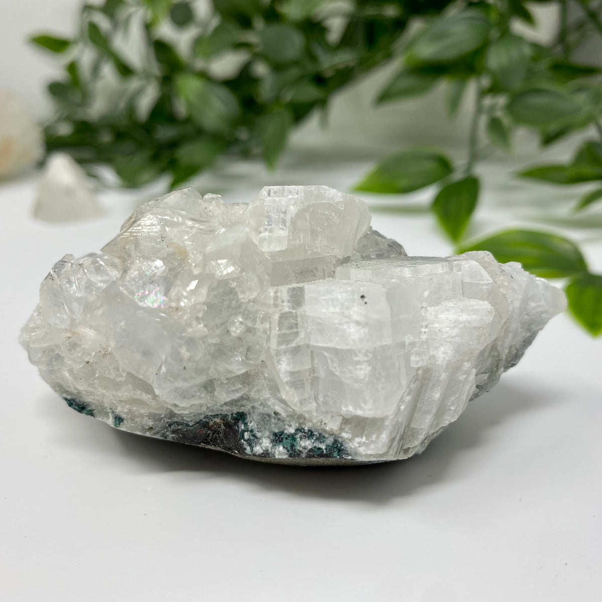 Apophyllite Crystal Specimen – Wholehearted Crystal Creations