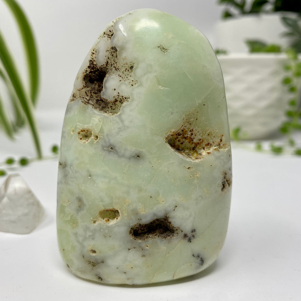 Chrysoprase Crystal Specimen – Wholehearted Crystal Creations